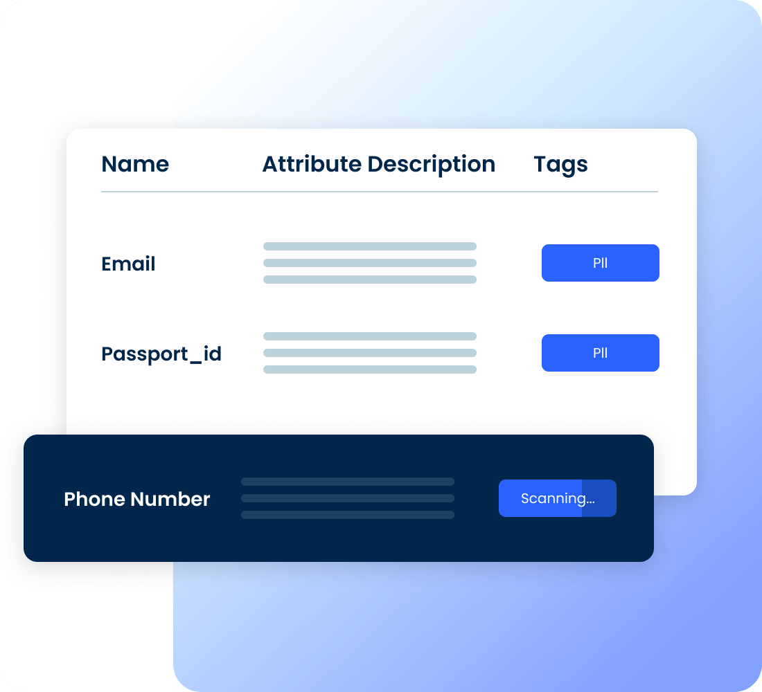 Data attribute management interface displaying fields for Name, Attribute Description, and Tags with Email, Passport_Id and Phone Number attributes